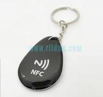 13,56 MHz NTAG215 RFID-Tag NFC-Epoxid-Schlüsselanhänger, leere digitale  Business-Smartcard mit großer Speicherkapazität - AliExpress