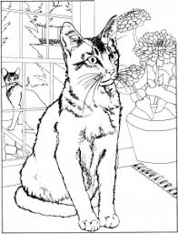 Stats on this coloring page. Cats Free Printable Coloring Pages For Kids
