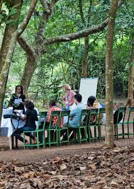 Image result for Kotschya uguenensis