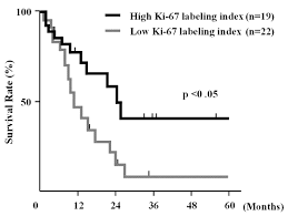 Statistics table data shows approximate cancer survival rate in percentage within 5 years after being diagnosed with various types of cancers. Implication Of Clear Cell And Mucinous Histology Intechopen