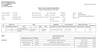 Un camion consuma 7 litri o masina consuma 5 litri. Completare Foaie De Parcurs Intr Un Mod Foarte Simplu Docloud Ro