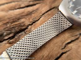 Image result for Mondia ecornuta