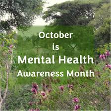 Image result for Oxyanthus pyriformis