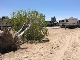 Maybe you would like to learn more about one of these? A Massive Storm Rolled Ashore The Wind Hit 91 Mph And They Were Camping Michigan Radio