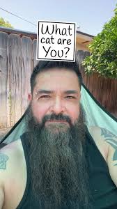 Cat with Beard Filter