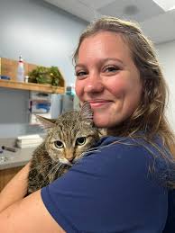 Four Corners Veterinary Clinic