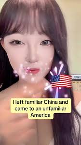 United Office Sortimentskasten