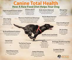 7 Reasons Why Oprah Feeds Her Dog A Raw Food Diet Raw Food Diet Raw Dog Food Recipes Raw Dog Food Diet