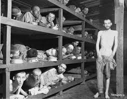 Because of romek is a nonfiction, autobiographical narrative about the experiences of a teenager during the holocaust of world war ii. Because Of Romek Home