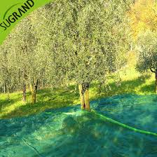 Chine 2018 Meilleure Vente Pehd Recolte Des Olives Filets D Olive Fabricant De Compensation Pour L Italie Grece Marches De Tunis Acheter La Recolte De Filets D Olive Sur Fr Made In China Com