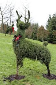 Topiary Deer Google Search Topiary Plants Tree