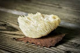 Lion's Mane Mushroom: Benefits, Side Effects, Dosage, and Interactions