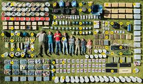 Les Preppers Survie En Foret Guide De Survie Survie