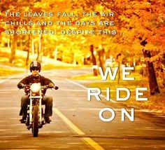 Some of these are offensive rude obnoxious or show a little skin. 80 Riding Quotes Ideas Riding Quotes Riding Biker Quotes