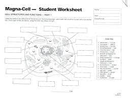 Some animals or people who received the vaccine and were later exposed to the virus developed more severe disease than those who had not been vaccinated. Animal Cell Labeling Sheet áµ‡Ê¸ á´¬Ê³á¶¦ Part 1 Diagram Quizlet