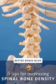Please check with your doctor before beginning this or any exercise program. Pin On Bone Density