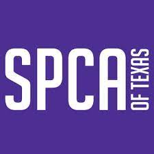 Lost paws rescue of texas serves north texas in dallas, tarrant, collin and denton counties. Spca Of Texas Spcaoftexas Twitter