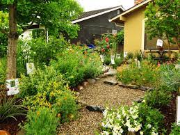 The easiest answer is our native grasses are beautiful! Gardening California Native Plant Society