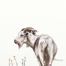 Goat Art Print Farm Animals Pencil Sketch Animal Wall Art Etsy Goat Art Art Prints Animal Wall Art