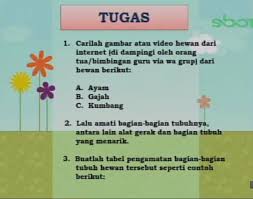Kunci jawaban sbo tv 21 september 2020 kelas 4 sd. Soal Sbo Tv 7 September 2020 Kelas 1 2 3 4 5 6 Jawaban Lengkap