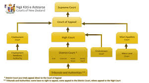 Diagram Courts Of New Zealand