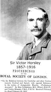 Sir Victor Horsley published the first observation of cerebellar...