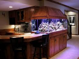 Underground waterproofing requires special products and techniques to either prevent water and moisture from entering the area or to allow it to enter and then control it. 25 Ideas To Remodel Your Basement And Make It Great Saltwater Aquarium Setup Home Aquarium Aquarium Setup