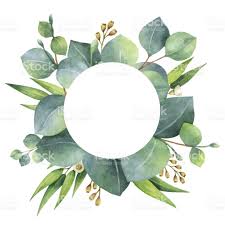 We did not find results for: Watercolor Hand Painted Round Wreath With Eucalyptus Leaves And Flower Background Wallpaper Wreath Watercolor Botanical Prints