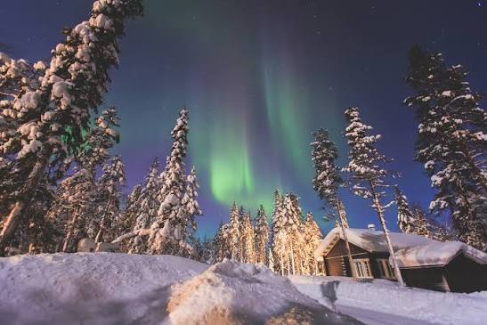 Sirkantahti Lapland