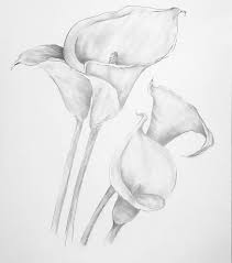 Custom Flower Pencil Drawing On Request Please Email Me Your Pencil Drawings Of Nature Pencil Drawings Of Flowers Flower Drawing