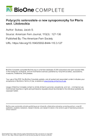 Image result for Pteris buchananii