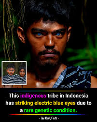 Wow! Unbelievable that its eye was not permanently damaged.