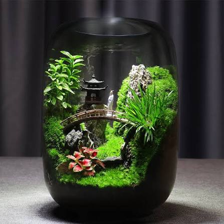 PlantPico Zen Garden | Nature Lover's Gift | Mindfulness Terrarium – PlantPico™