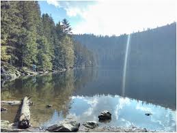 Nachází se v královském hvozdu na jihovýchodním svahu jezerní hory, ve vzdálenosti 4,2 km od města železná ruda (špičák). Cerne A Certovo Jezero Ty Proste Musite Videt