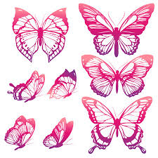 156 imágenes gratis de flores y mariposas. Diseno De Mariposas Fotos Retratos Imagenes Y Fotografia De Archivo Libres De Derecho Image 52146467