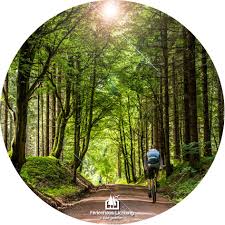 Fahrrad Verleih Und Gefuhrte Touren Ferienhaus Lichtung Touren Kurzurlaub Fahrradtour