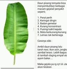 We did not find results for: Cerita Lucu Manfaat Daun Pisang Yg Luar Biasa Silahkan Facebook