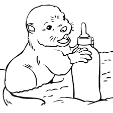 Free download 37 best quality baby bottle coloring page at getdrawings. Baby Otter With Bottle Free Print And Color Online