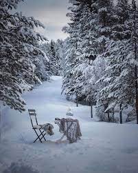 Pin By Wanda E Span On Beauty Of Snow Instagram Instagram Photo Photo And Video