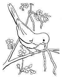 Reality tv in your own backyard! Bird Eating Worm Easy Drawing Novocom Top