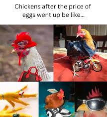 LOL 💅🏻🐔🤑 #chicken #eggs #rich #money #memes #meme