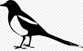 We did not find results for: Drawing Of Family Png Download 999 600 Free Transparent Eurasian Magpie Png Download Cleanpng Kisspng