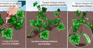 Epingle Sur Cuisine