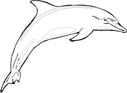 A dolphin pod jumping fiercely out of the water. Drawing Dolphin 5159 Animals Printable Coloring Pages