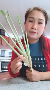 GD morning everyone 🌻❤️🌻🌻 sunday office time