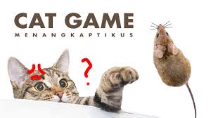 (120210204160) 3.bondan dwi bramanda (120210204139) 4.richo faris i. Cat Game Video Permainan Untuk Kucing Menangkap Tikus Youtube