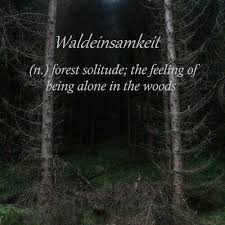 Being Alone In The Woods Nature Quotes Cool Words Words