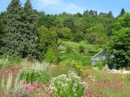 Als alternative für einen wirklichen besuch im garten gibt es hier einige virtuelle angebote Botanischer Garten Der Universitat Wurzburg Wikipedia