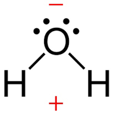 Identifying Hydrogen-Bonding In Compounds For Each Compound In The Table  Below, Decide Whether There Would Be Any Hydrogen-Bonding Force Between  Molecules Of The Compound And Molecules Of Water: Compound Formula Or Lewis
