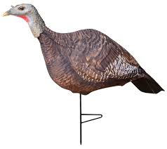 Download Buy Photoform Hen Turkey Decoy Primos Hunting